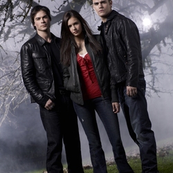 Пазл: Дневники вампира