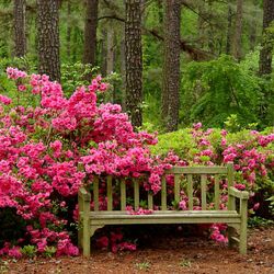 Пазл: Лавочка для влюбленных