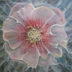 Пазл: Мальва