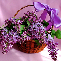 Пазл: Сирень