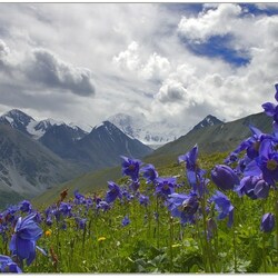 Пазл: Горный пейзаж