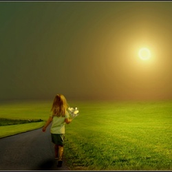 Пазл: К солнцу