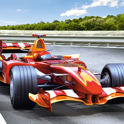 Пазл: Ралли