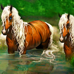 Пазл: Белогривые