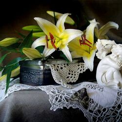 Пазл: Лилии