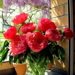 Пазл: Весна в разгаре!