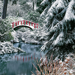 Пазл: Мостик в зимнем парке