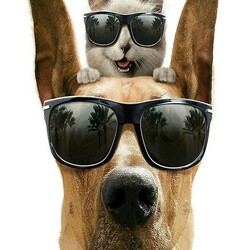 Пазл: А теперь загорать!!!