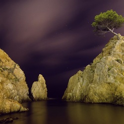 Пазл: Вечность