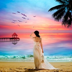 Пазл: Полёт птиц