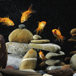 Пазл: Золотые рыбки