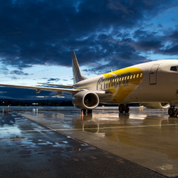 Пазл: Стальная птица