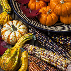 Пазл: Осенние дары