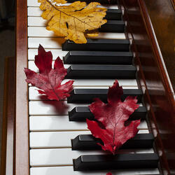 Пазл: Мелодии осени