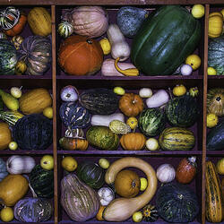 Пазл: Тыквы