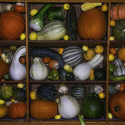 Пазл: Кабачки и тыквы