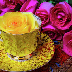 Пазл: Единственная