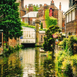 Пазл: У реки