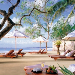 Пазл: Тропический отдых