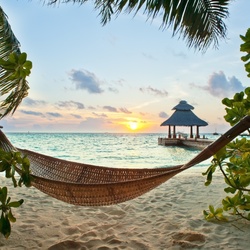 Пазл: Гамак на пляже