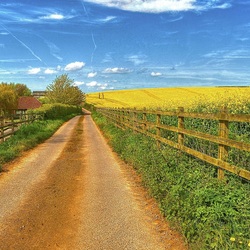 Пазл: Дорога в деревню