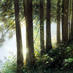 Пазл: Деревья