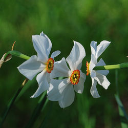Пазл: По секрету всему свету