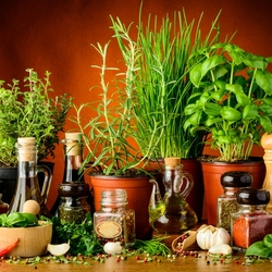 Пазл: Специи и пряности