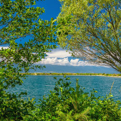 Пазл: Зеленое окно