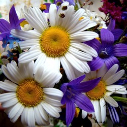 Пазл: Летний букетик