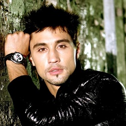 Пазл: Дима Билан