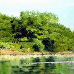 Пазл: Зеленый берег