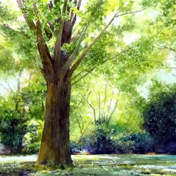 Пазл: Ствол дерева