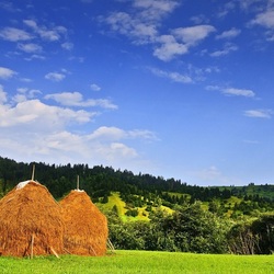 Пазл: Два стога сена