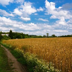 Пазл: Конец лета