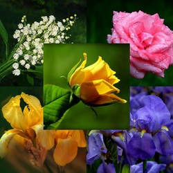 Пазл: Несобранный букет