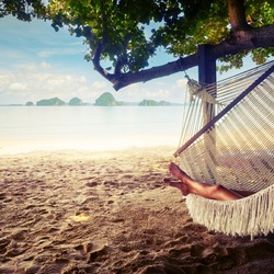 Пазл: Гамак у моря