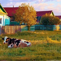Пазл: На деревню, к бабушке