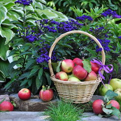 Пазл: За окнами август