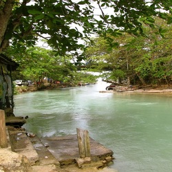 Пазл: У берега речки