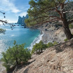 Пазл: Царский пляж