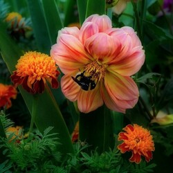 Пазл: В уголке сада                                                                    