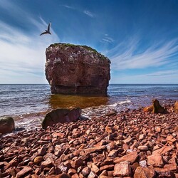 Пазл: Белое море  - аметистовый берег