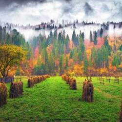 Пазл: Заготовка сена