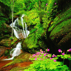 Пазл: Водопад