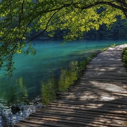 Пазл: Мостик