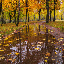 Пазл: Осень