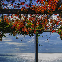 Пазл: Окно в море