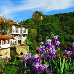 Пазл: Южный городок