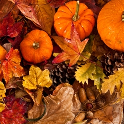 Пазл: Краски осени